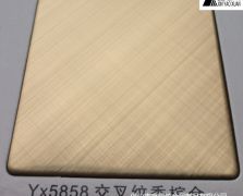 Yx5858 交叉紋香檳金不銹鋼